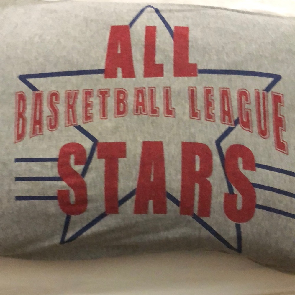 The Company Store gray basketball pillowcase